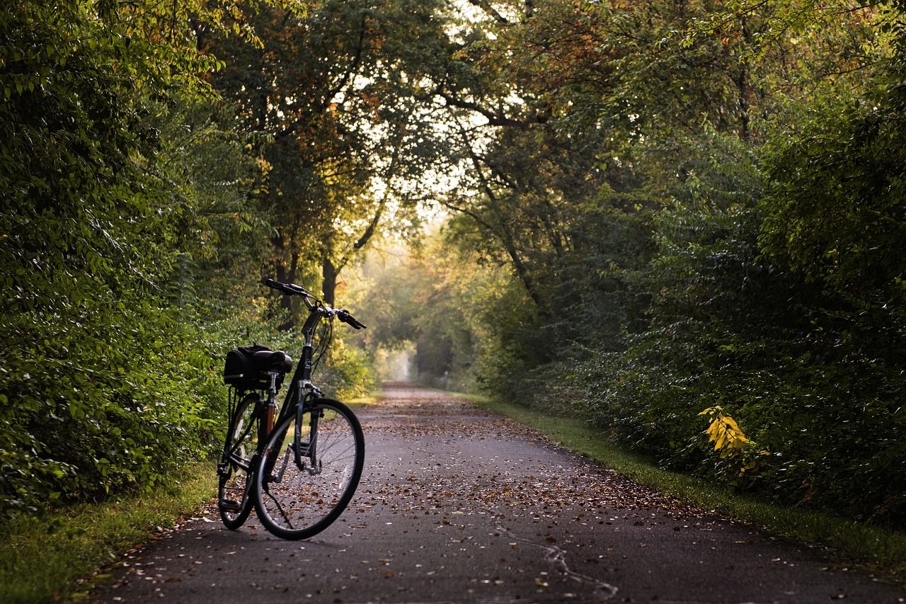 Stojaki rowerowe - jaki wpływ mają na komfort korzystania z roweru