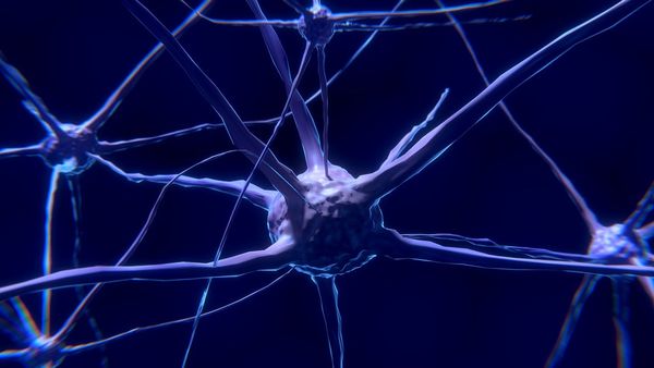 Neurofeedback, czyli trening mózgu – co warto o nim wiedzieć?